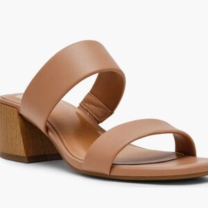 DV by Dolce Vita Ladies' Heel Strap Sandal   Black